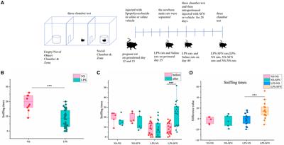 Therapeutic efficacy of sulforaphane in autism spectrum disorders and its association with gut microbiota: animal model and human longitudinal studies